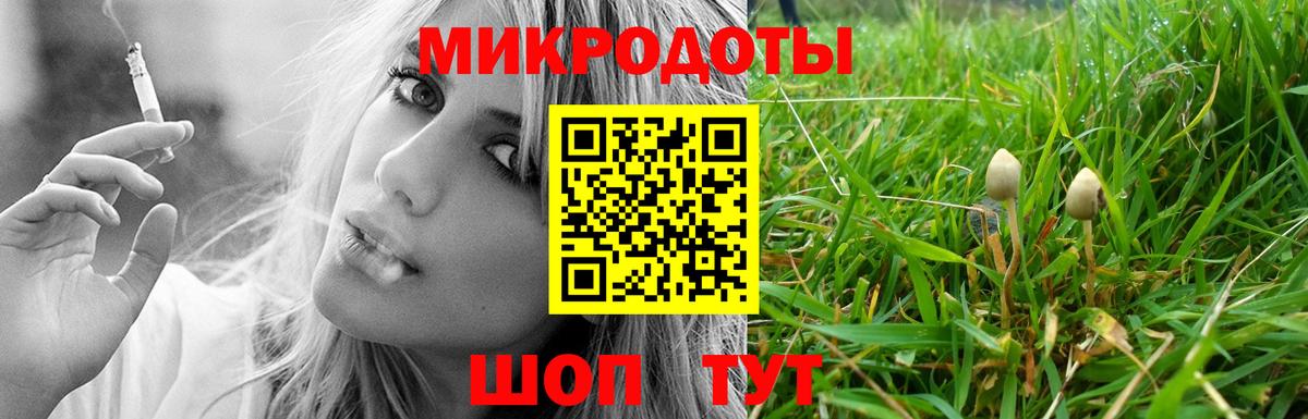 Псилоцибиновые грибы Psilocybe Лянтор