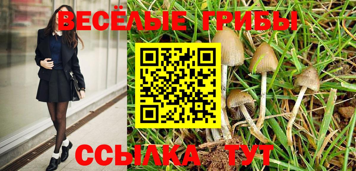 Лянтор  Псилоцибиновые грибы Psilocybe  Галлюциногенные грибы Psilocybe  Вход с VPN 